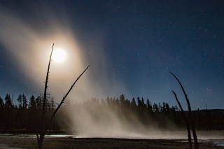 The steam from a geyser backlit by the full moon and milkyway framed by dead trees that grew too close to this geothermal hot spot.