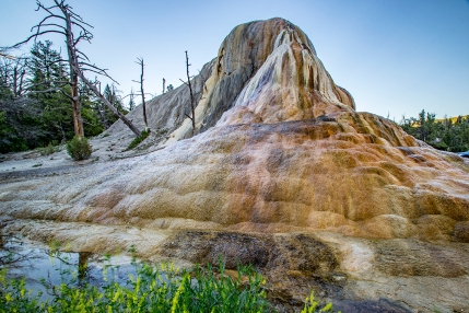 This awesome feature was glistening in the sunset above Mammoth Springs